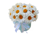 Снежная королева